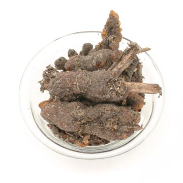 StickLac - Stocklack 100 gr.