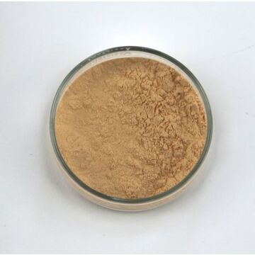 Tripoli Rotten Stone light 100g