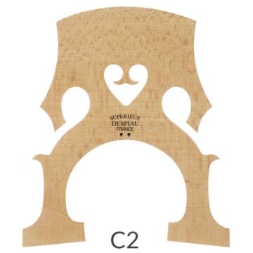 C2 model