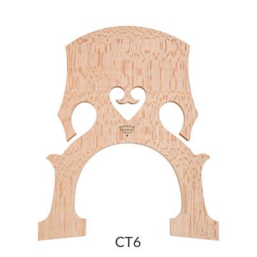 CT 6