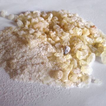 Dammar gum in powder 100g